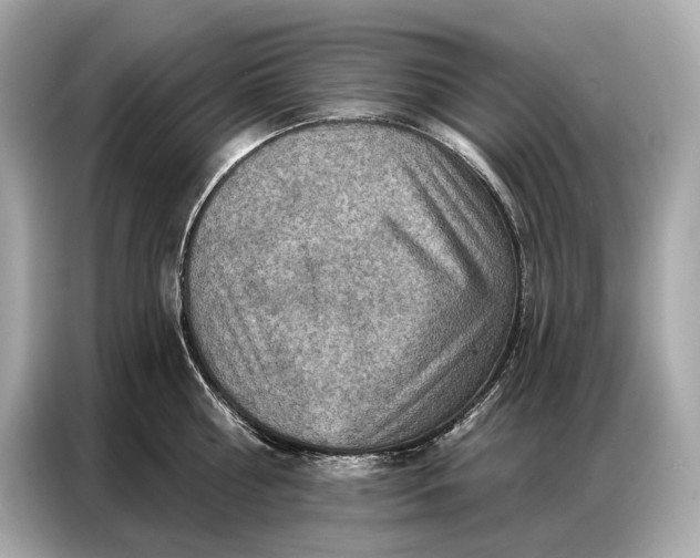 X0000086880810200704300935