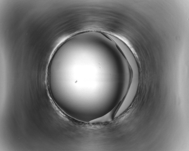 X0000086880815200704300935