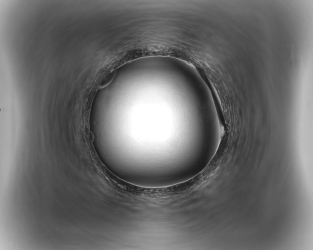 X0000086880817200704300935