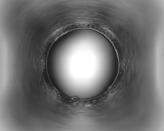 X0000086880821200704300935