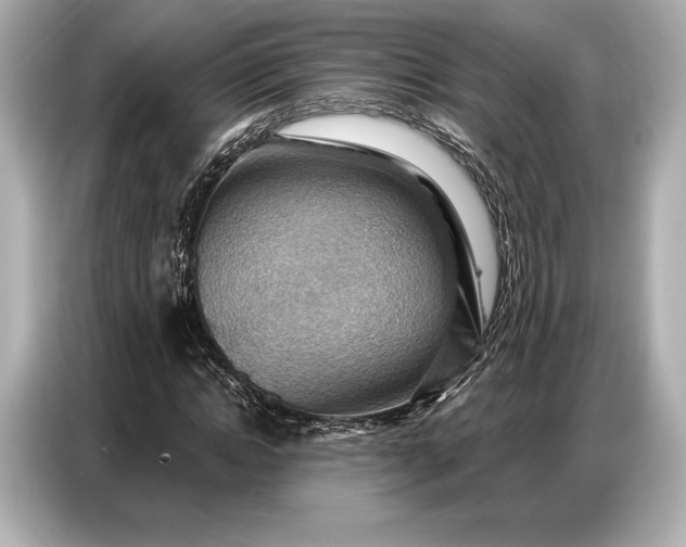 X0000086880822200704300935