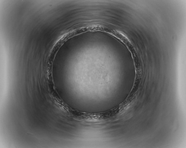 X0000086880823200704300935