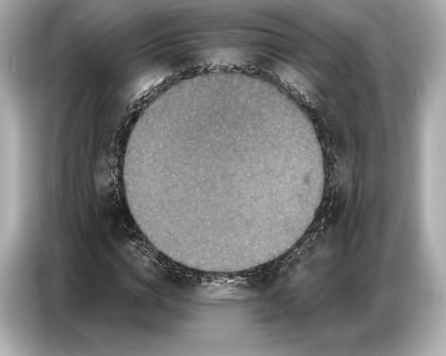 X0000086880824200704300935