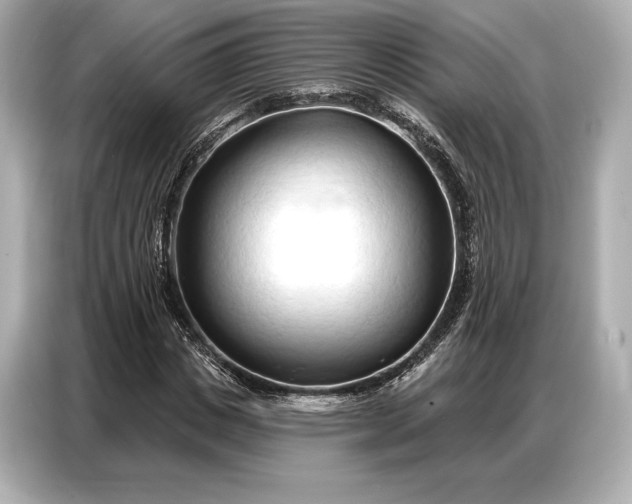 X0000086880825200704300935