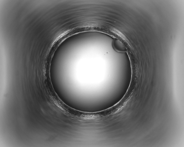 X0000086880826200704300935