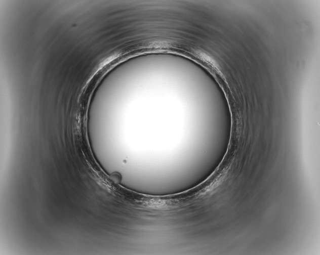 X0000086880827200704300935