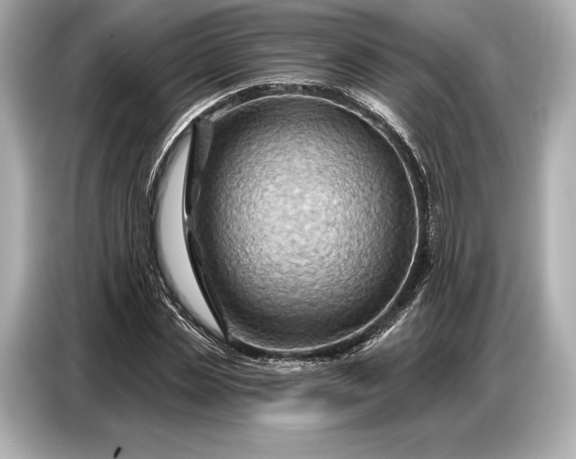 X0000086880829200704300935