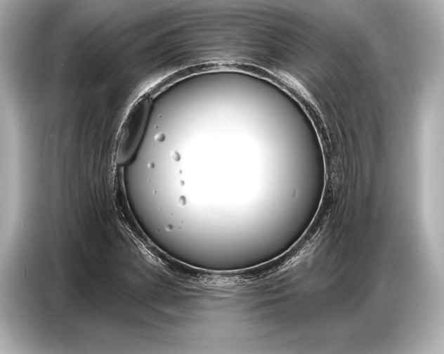 X0000086880831200704300935