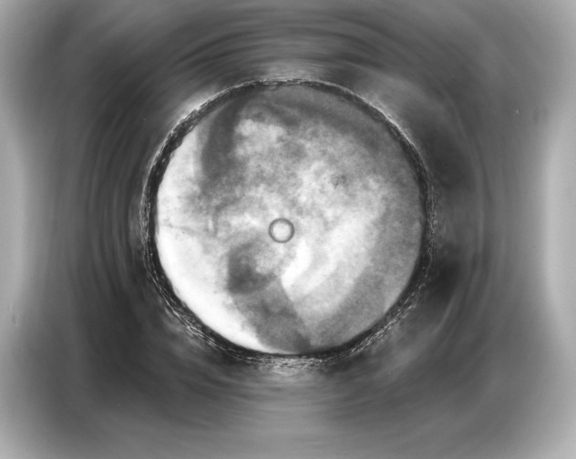 X0000086880832200704300935