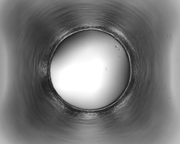 X0000086880833200704300935