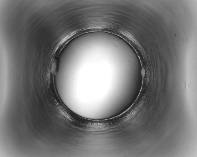 X0000086880834200704300935