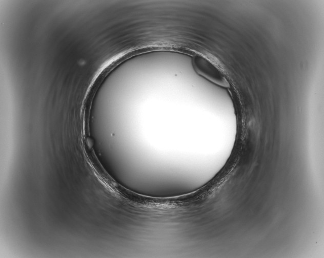 X0000086880838200704300935