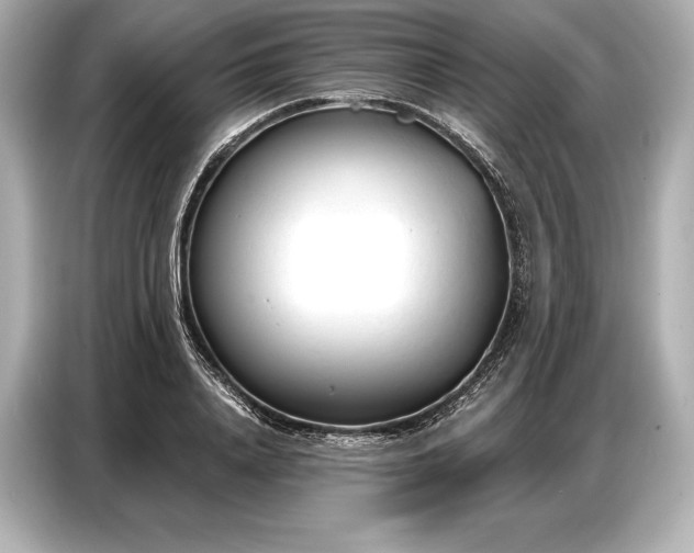 X0000086880840200704300935