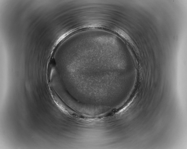 X0000086880842200704300935