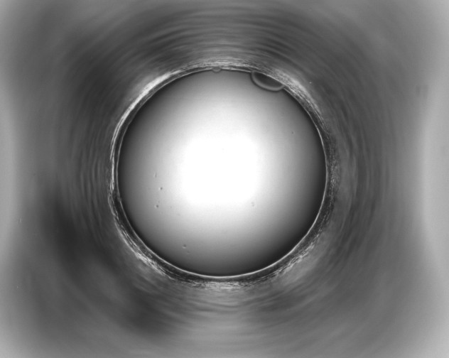 X0000086880844200704300935