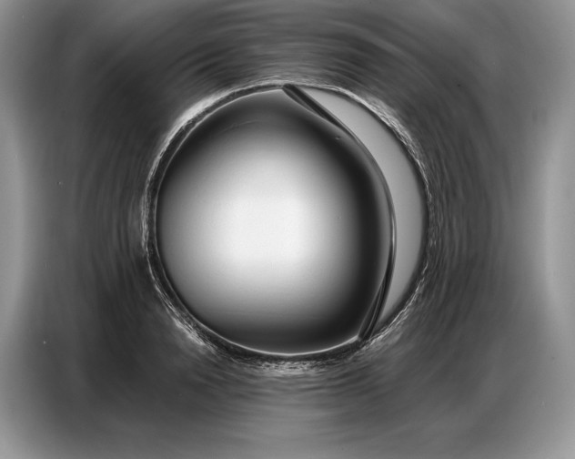 X0000086880846200704300935