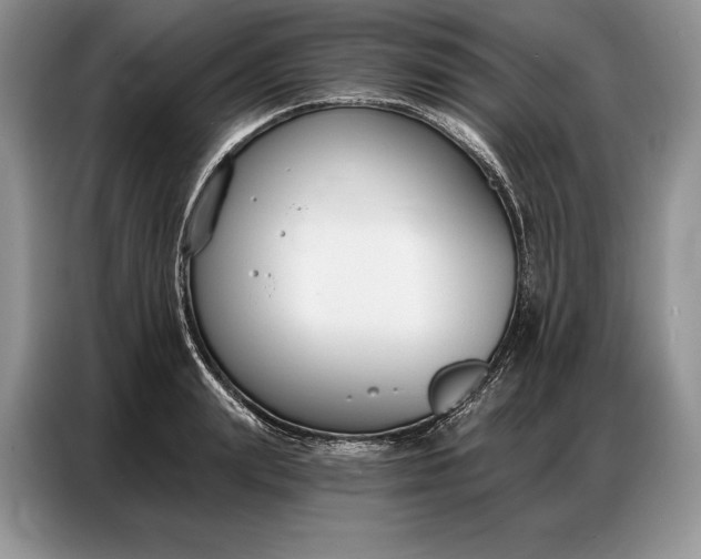 X0000086880847200704300935