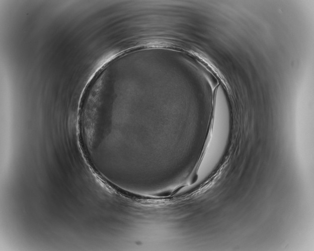 X0000086880853200704300935