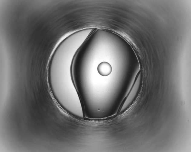 X0000086880854200704300935