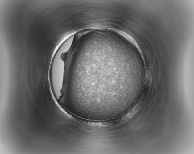 X0000086880855200704300935