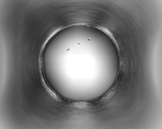 X0000086880859200704300935