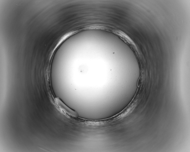 X0000086880860200704300935