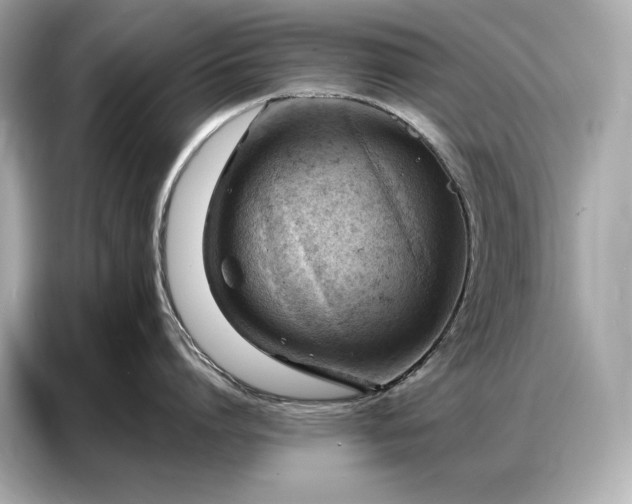 X0000086880864200704300935