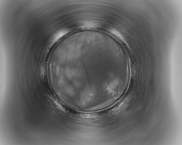 X0000086880874200704300935