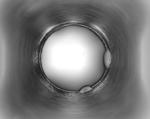 X0000086880875200704300935