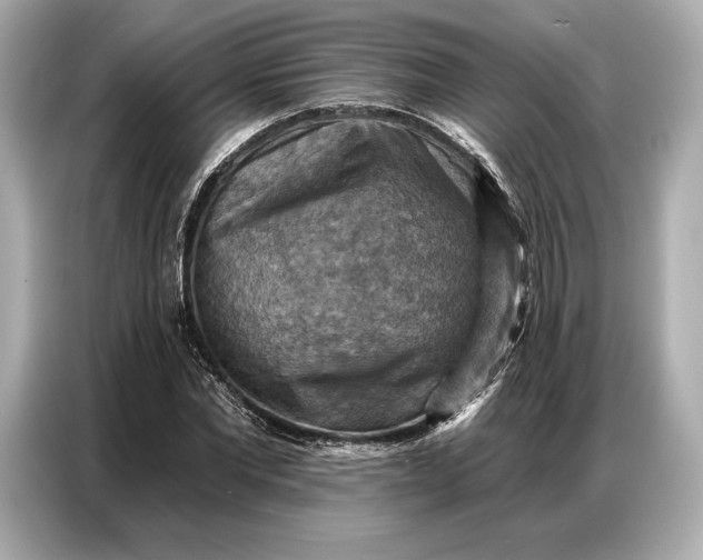 X0000086880877200704300935