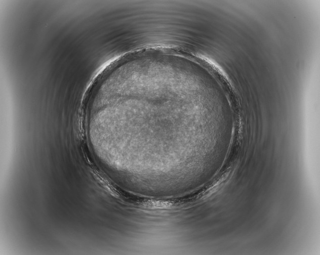 X0000086880878200704300935