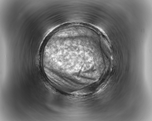 X0000086880879200704300935