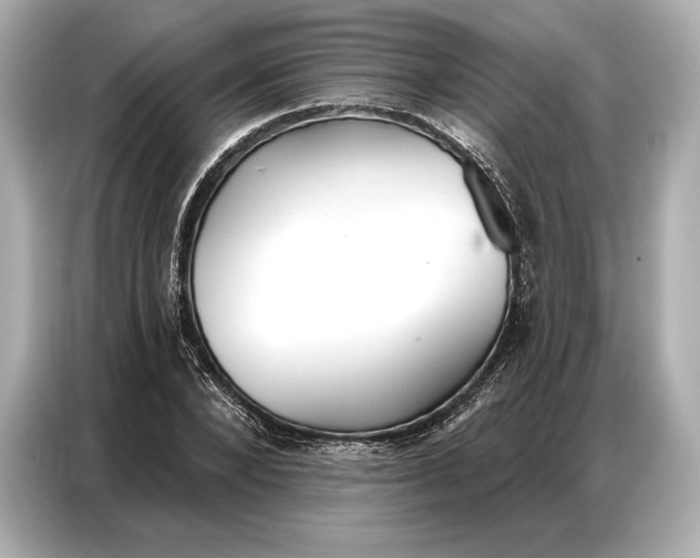 X0000086880880200704300935