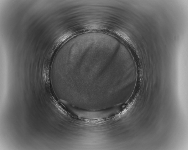 X0000086880881200704300935