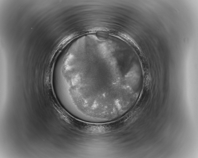 X0000086880882200704300935