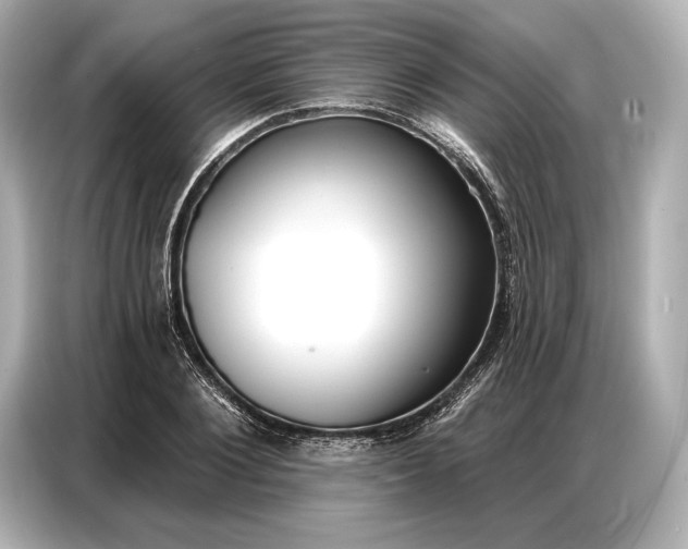 X0000086880884200704300935