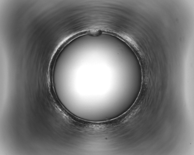 X0000086880888200704300934