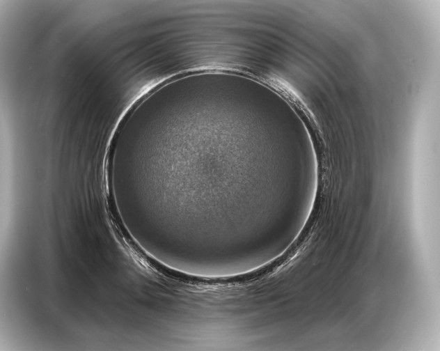 X0000086880892200704300934