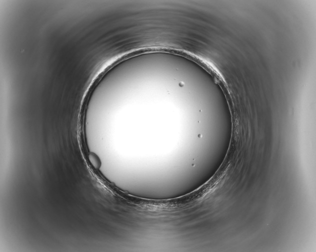 X0000086880895200704300934