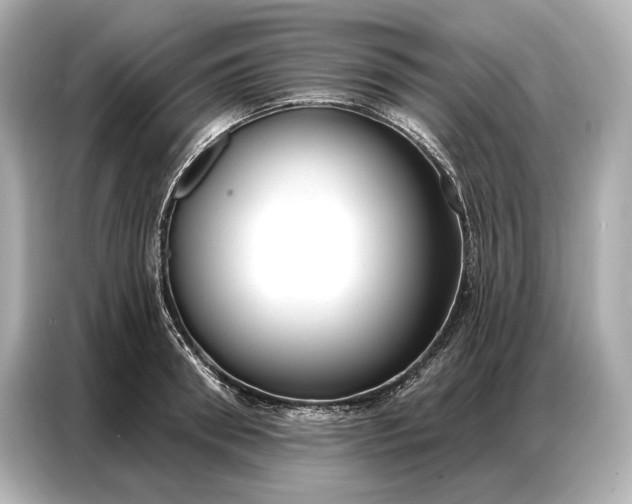 X0000086880898200704300934