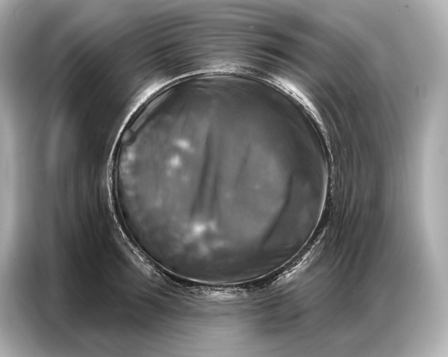 X0000086880899200704300934