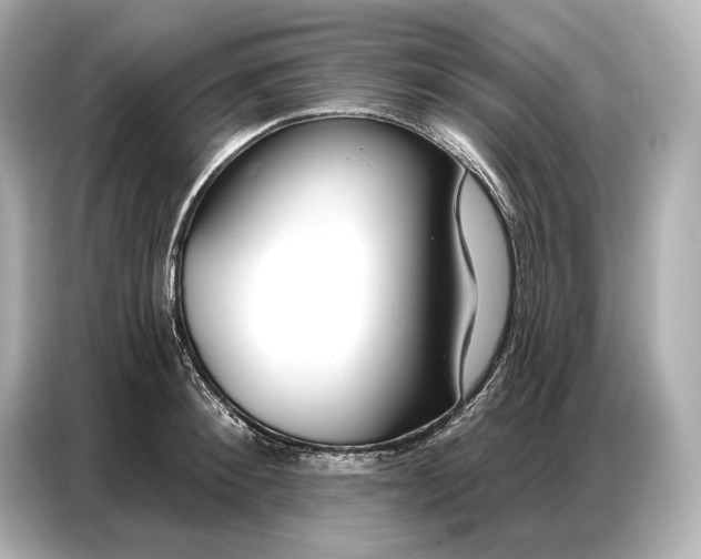 X0000086880900200704300934