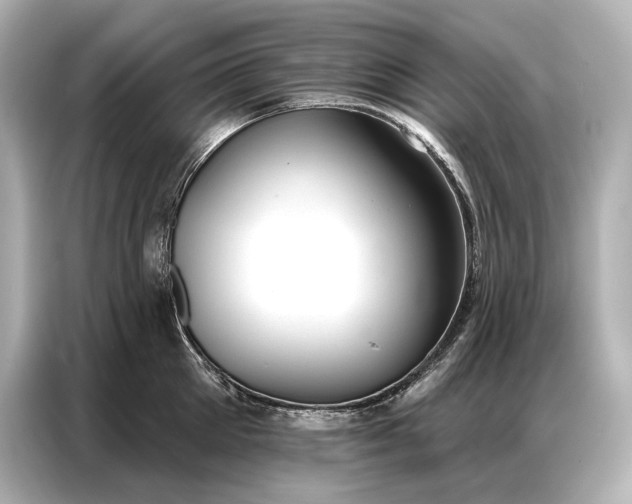 X0000086880905200704300934