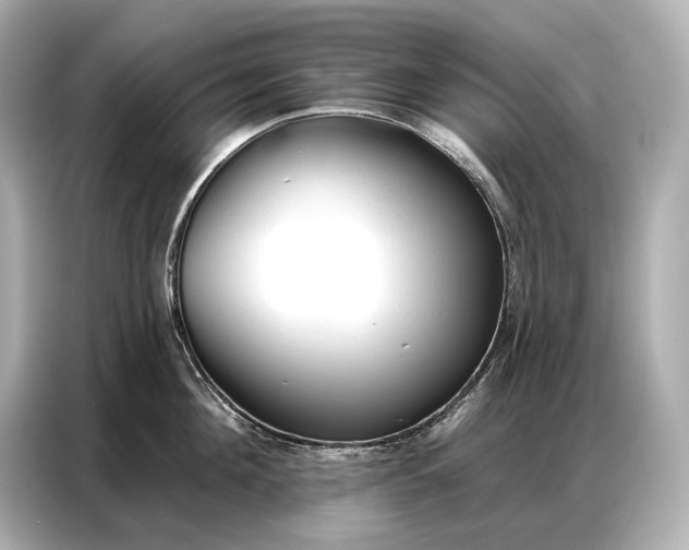 X0000086880908200704300934