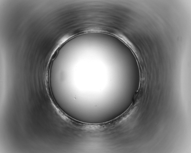 X0000086880909200704300934