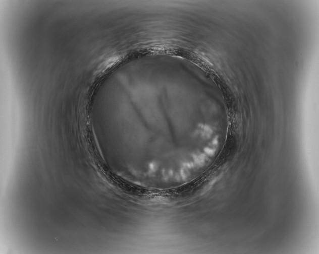 X0000086880913200704300934