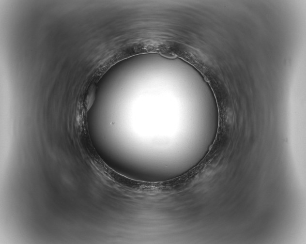 X0000086880914200704300934