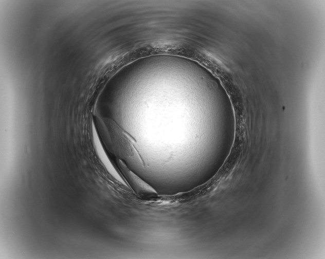 X0000086880917200704300934