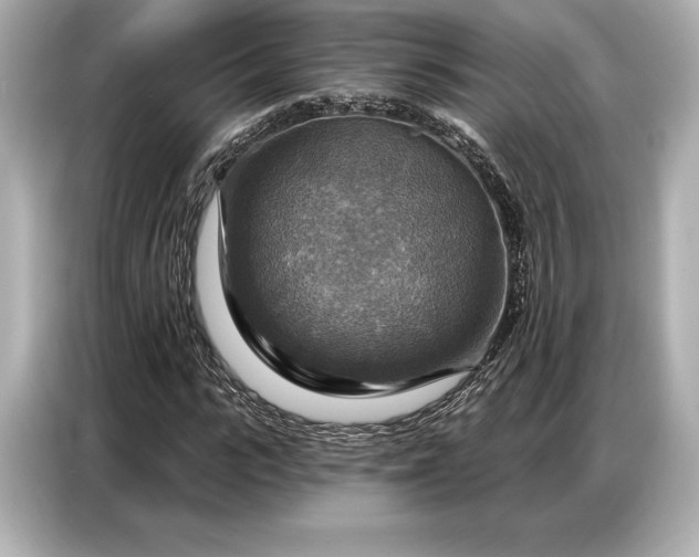 X0000086880919200704300934