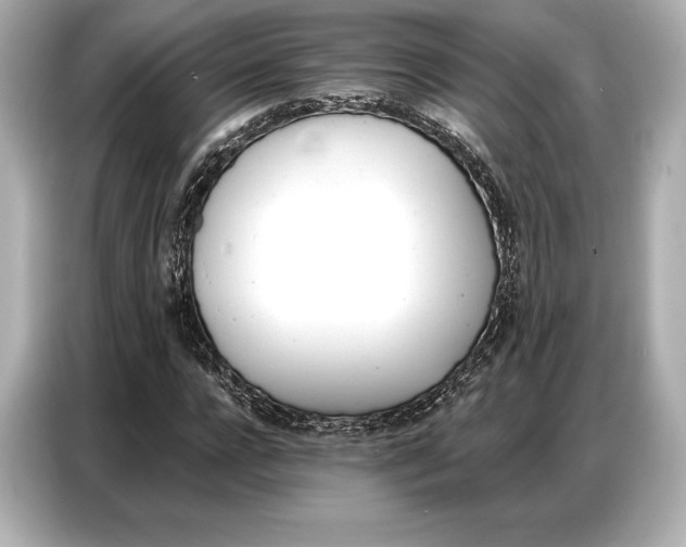 X0000086880920200704300934